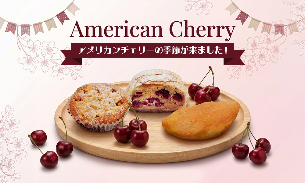 アメリカンチェリーの季節が来ました！